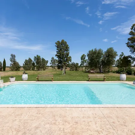 Pizzi By Perle Di Puglia