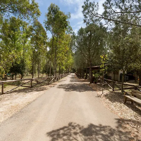 Pizzi By Perle Di Puglia Villa *