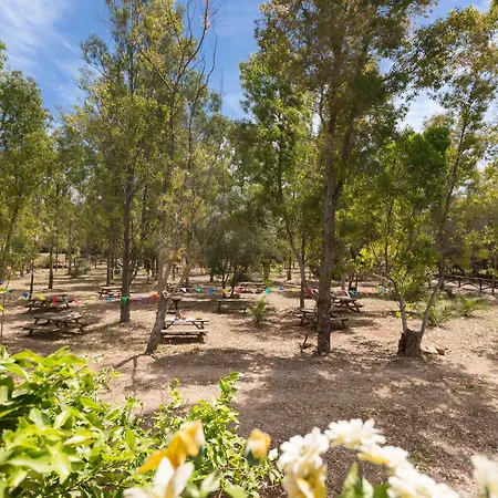 Pizzi By Perle Di Puglia * San Donaci