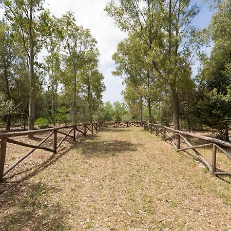 Pizzi By Perle Di Puglia Villa *