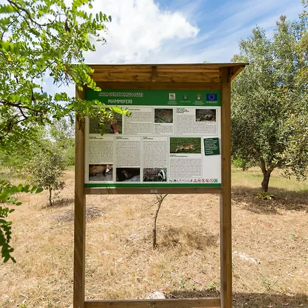 Villa Pizzi By Perle Di Puglia *