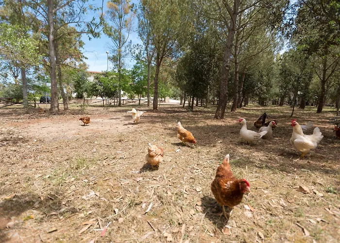 빌라 Pizzi By Perle Di Puglia *