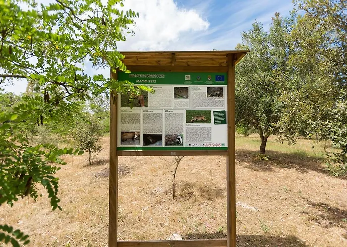 Pizzi By Perle Di Puglia