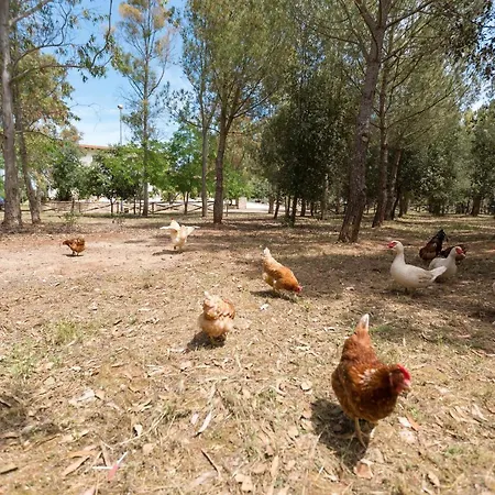 Pizzi By Perle Di Puglia 别墅 *