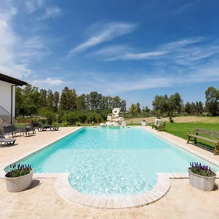 Pizzi By Perle Di Puglia