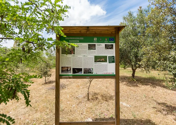Villa Pizzi By Perle Di Puglia *